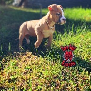 Meet your Posher, Dee